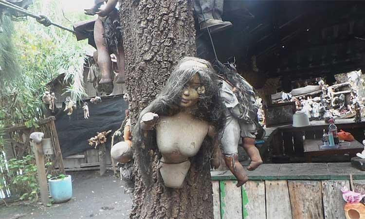 ¿Qué es la isla de las muñecas de Xochimilco?